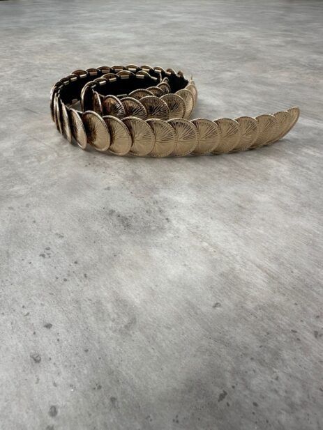 Alternative view of Coin Belt