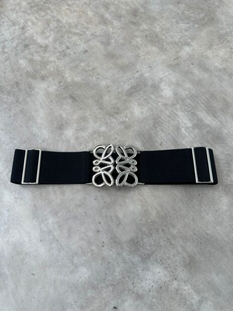 Alternative view of Loesa Belt