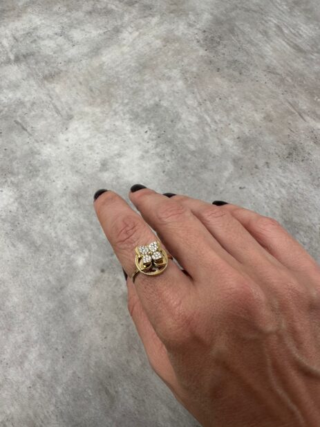 Alternative view of Vani Ring