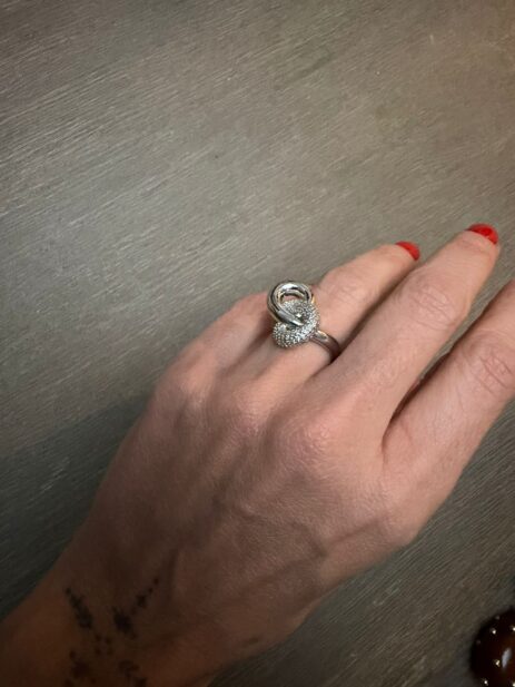 Alternative view of Rove Ring