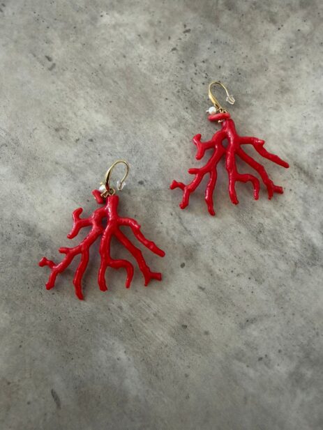 Alternative view of Redo Earing