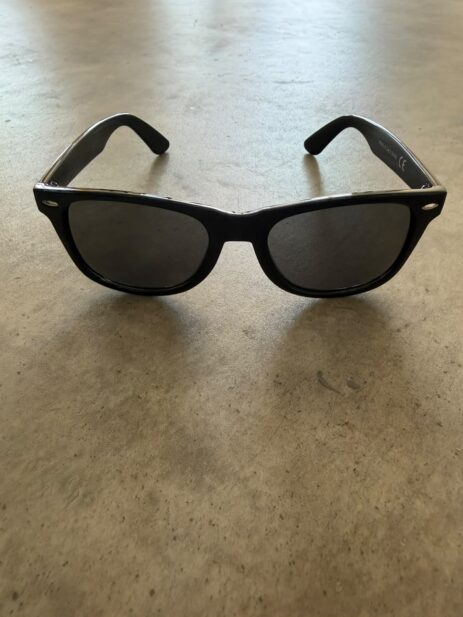 Warner Sunglasses